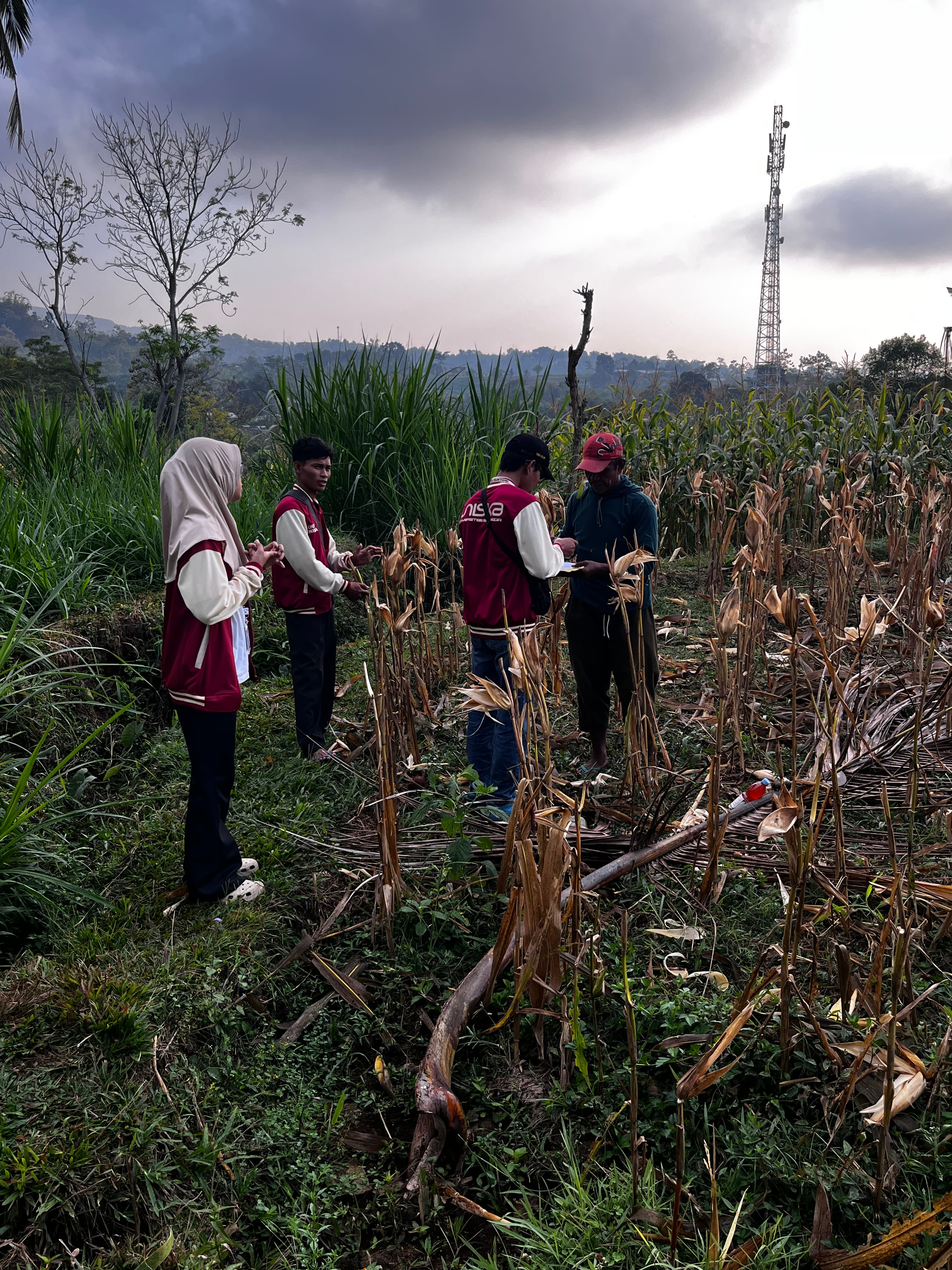Dokumentasi Program Kerja 2